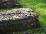 image of grave number 829518